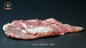 pluma ibérica 100%