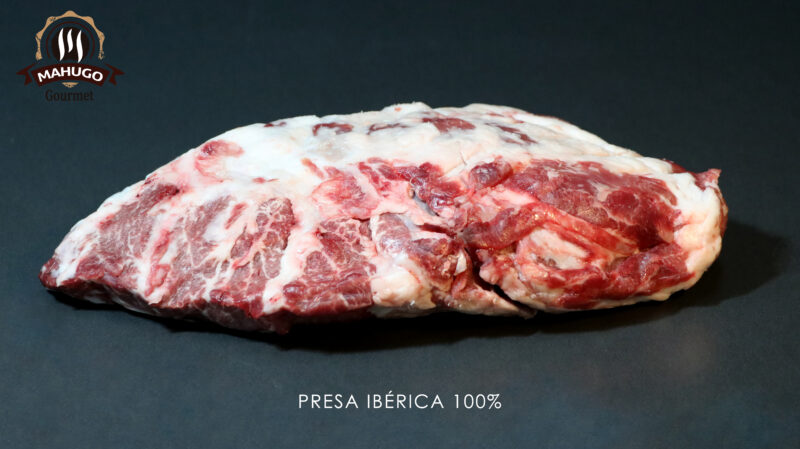 presa ibérica 100%